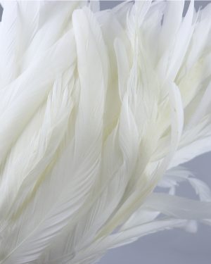 30-35cm White Rooster Tail Feathers Trim