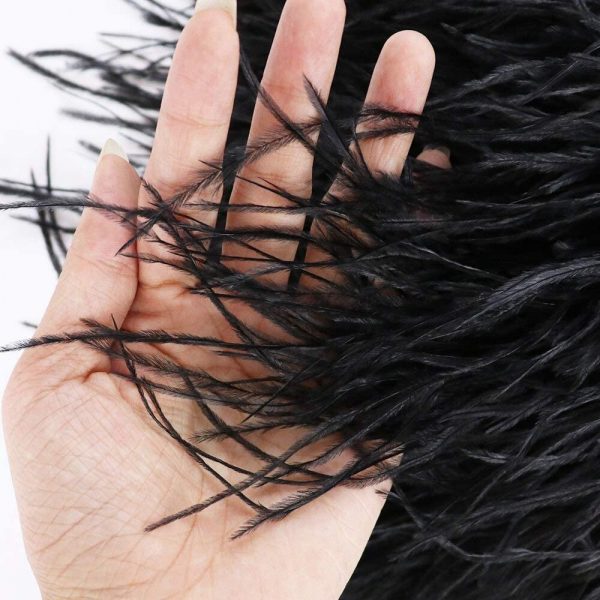 Black Details Natural Ostrich Feathers Trim